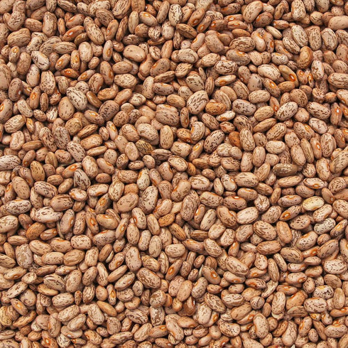 ORGANIC PINTO BEANS